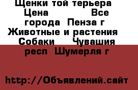 Щенки той терьера › Цена ­ 10 000 - Все города, Пенза г. Животные и растения » Собаки   . Чувашия респ.,Шумерля г.